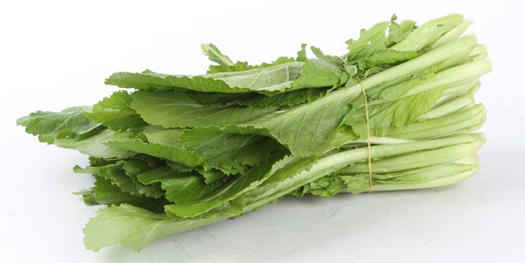 祁祿山蔬菜配送點(diǎn)地址