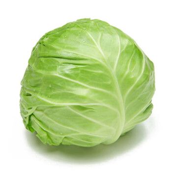 田心蔬菜配送站電話號(hào)碼