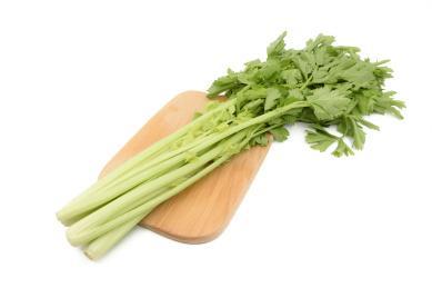 綠色餐桌,新鮮直達——您身邊的蔬菜配送專家