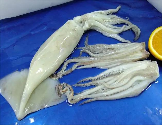 新鮮時蔬直送,無門檻購物體驗!- 最佳蔬菜配送app