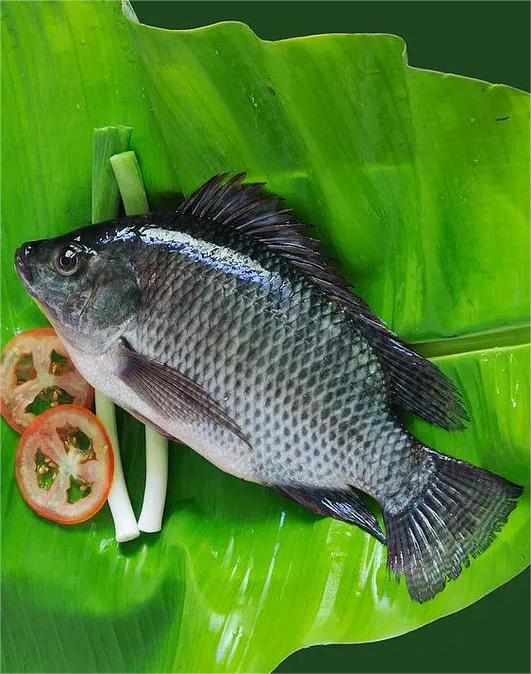 東莞市2024年第43周市場價格監測簡況